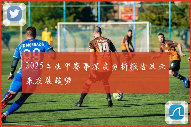 2025年法甲赛事深度分析报告及未来发展趋势
