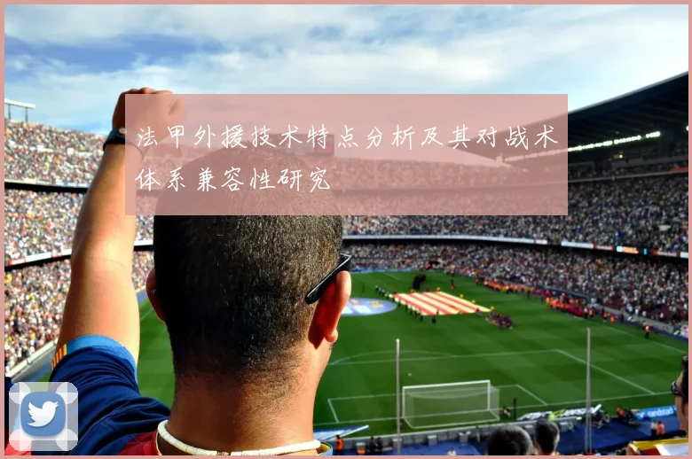 法甲外援技术特点分析及其对战术体系兼容性研究