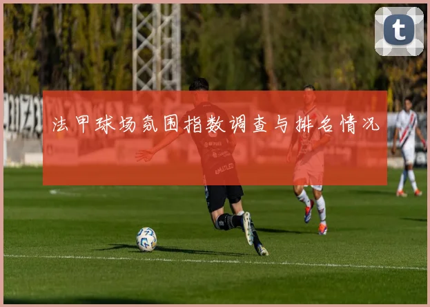 法甲球场氛围指数调查与排名情况